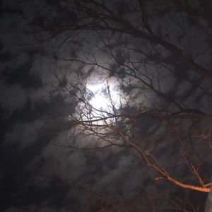 Meet your Posher, Maggie